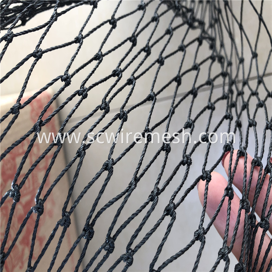Black Knotted Net